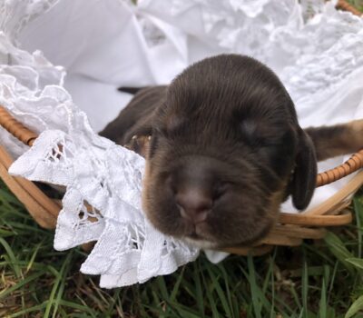 06204440-5A8B-4E04-BB23-E2CF386B3FFF 06204440-5A8B-4E04-BB23-E2CF386B3FFF