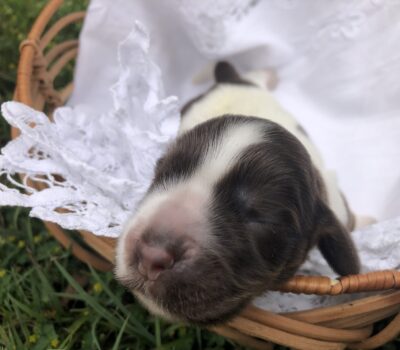 16943392-6234-4059-B051-2C49E2DEEA28 16943392-6234-4059-B051-2C49E2DEEA28