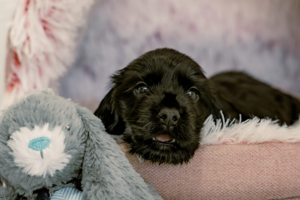 260DB425-F2A0-430D-9497-379474DBBA41