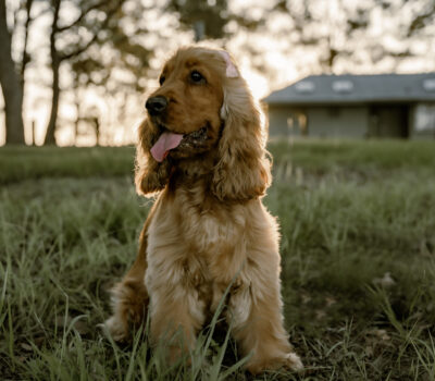 4C5D6FEC-6477-4105-B21E-4C92E3C88DD9