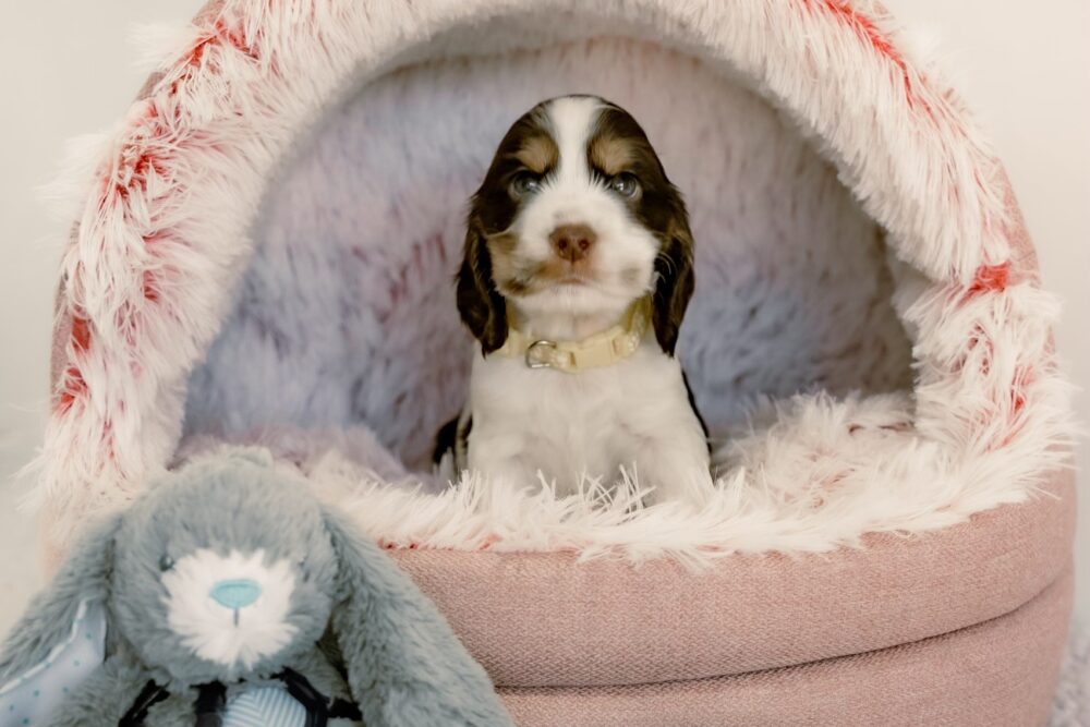 6444534D-9144-4AA3-80BC-77A6F5C0B480