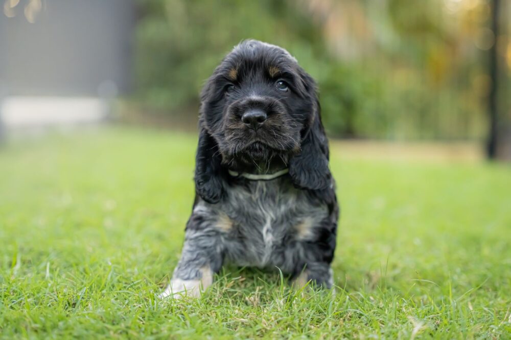 7A19ACDF-A2A1-4369-B921-7D624D6202A4