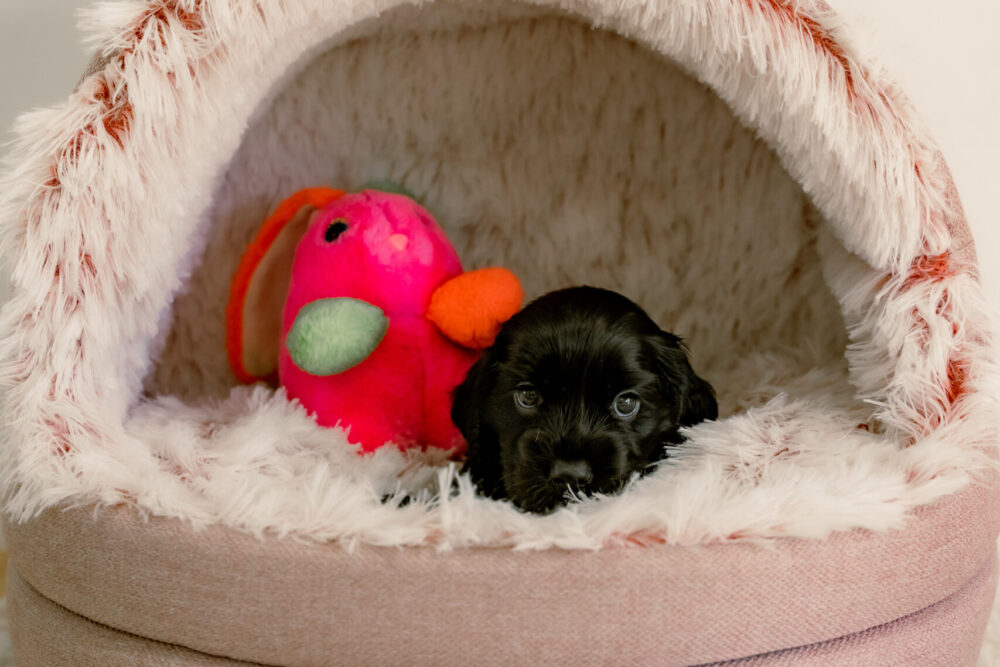 8A163C0A-51E6-4BE1-B38E-BAABE1B5EDB0