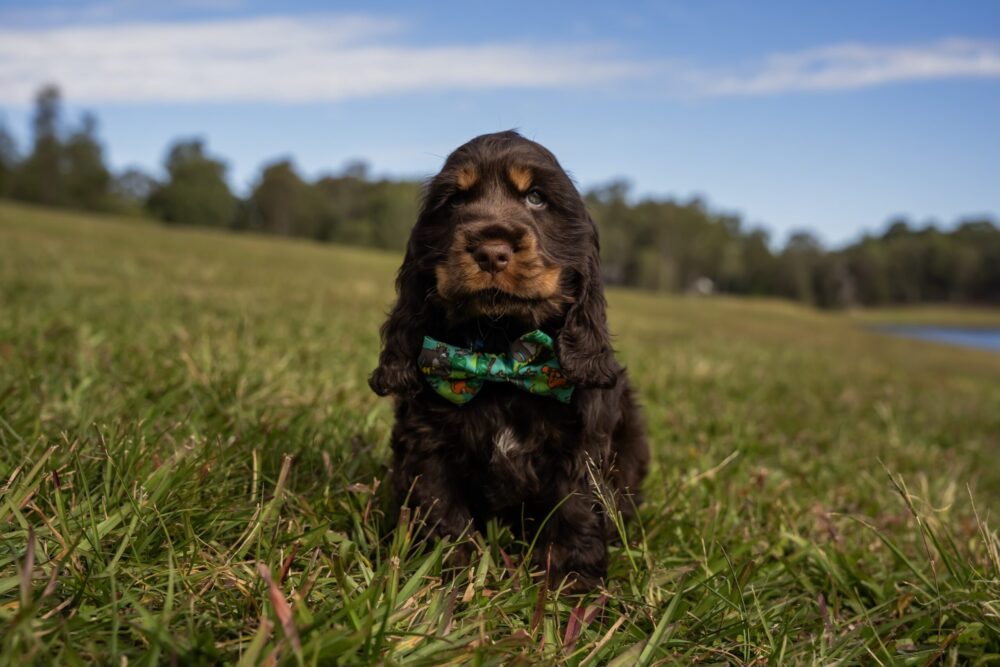 B5E03A59-A37E-4766-AAA8-B41E79B28135