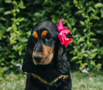 CD619059-259F-44FE-BE90-51FFABD57477