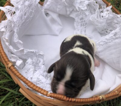 EA4C621A-9861-4F82-9907-64D14055D800 EA4C621A-9861-4F82-9907-64D14055D800